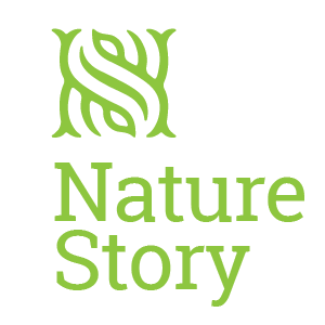 CÔNG TY TNHH MỸ PHẨM NATURE STORY